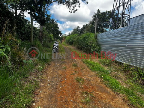 BEAUTIFUL LAND - GOOD PRICE - Land Lot For Sale Prime Location In Bao Lam District, Lam Dong _0