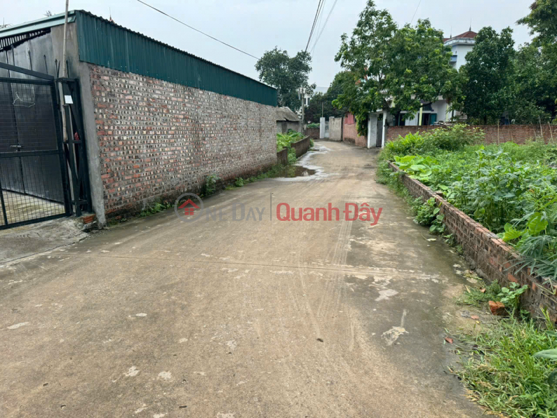 Property Search Vietnam | OneDay | Residential, Sales Listings | Leading the Trend - Thach Da Land, Me Linh - Central Location, Attractive Price