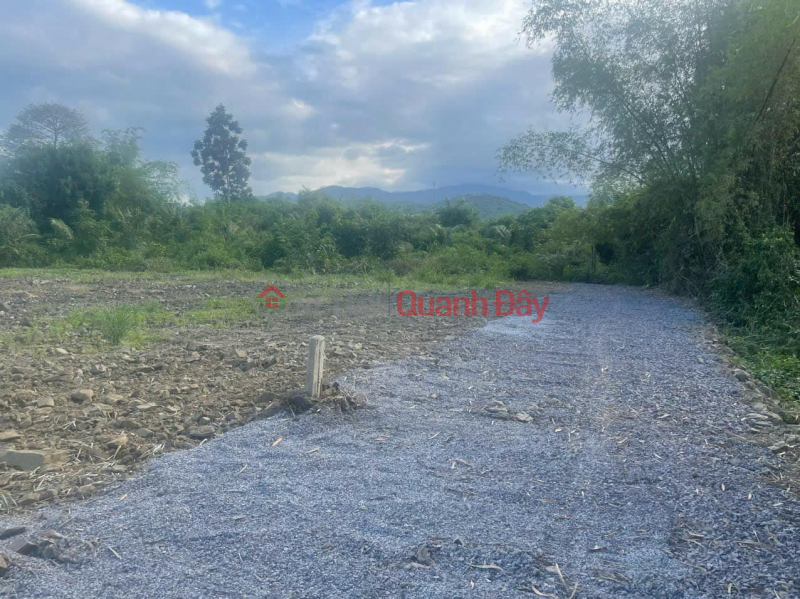 Property Search Vietnam | OneDay | Residential, Sales Listings BEAUTIFUL LAND, FULL LAND PLAN, CHEAP PRICE 640 MILLION\\/LOT IN DIEN LAM, DIEN KHANH