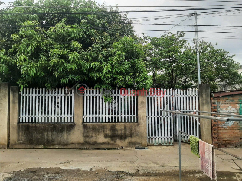 Property Search Vietnam | OneDay | Residential Sales Listings Land for sale with house as gift near Binh Hoa Gas Station (Tan Binh),Tan Trieu Ward, Newly Merged