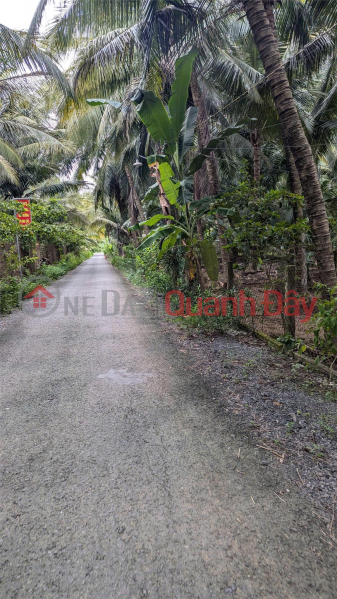 OWNER Needs to Quickly Sell Garden Land in Hoa Dinh Commune, Cho Gao, Tien Giang Sales Listings