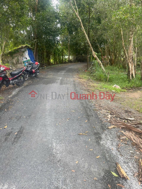 OWNER Needs to Sell Quickly LOT OF LAND Beautiful Location In Vi Thanh City, Hau Giang Province _0