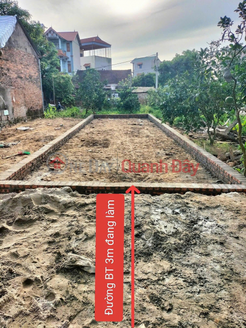 Owner needs money urgently to sell land plot in prime location in Quang Minh, Me Linh, Hanoi _0