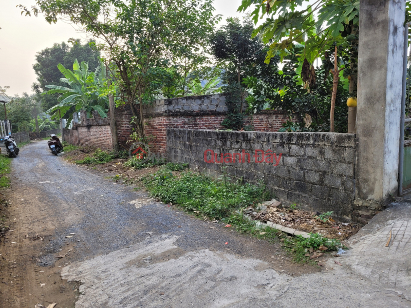 Need to sell a plot of land in village 4, Thuy Xuan commune, Tien Chuong My, Hanoi, DT; 197m, easy-going truck road, far from National Highway 6, Vietnam | Sales đ 1.5 Billion