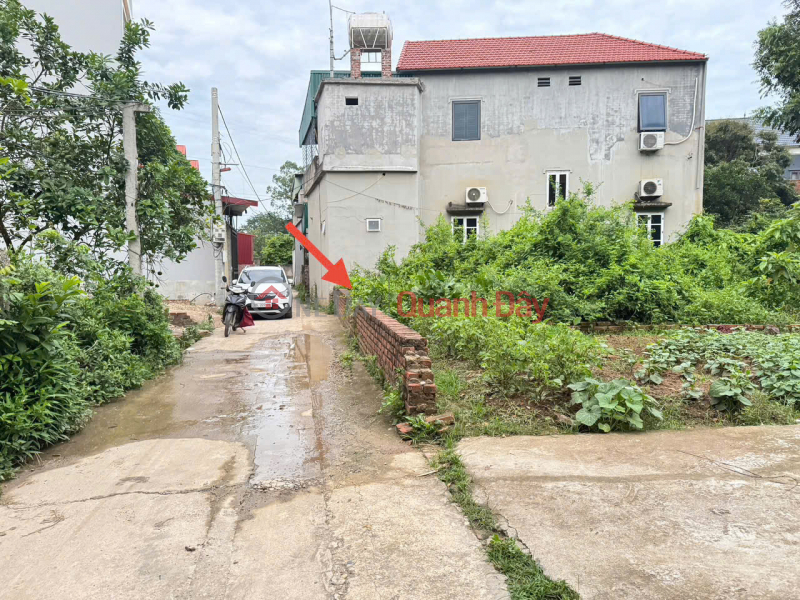 Bán đất Phú Hữu, Thanh Lâm, Mê Linh. Gần đường quốc lộ 23b và đồi 79 mùa xuân, Việt Nam | Bán đ 2,25 tỷ