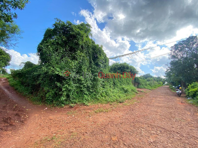 OWN A BEAUTIFUL LOT OF LAND NOW - GOOD PRICE IN Ia Phang Commune, Chu Puh District, Gia Lai Vietnam, Sales, đ 900 Million