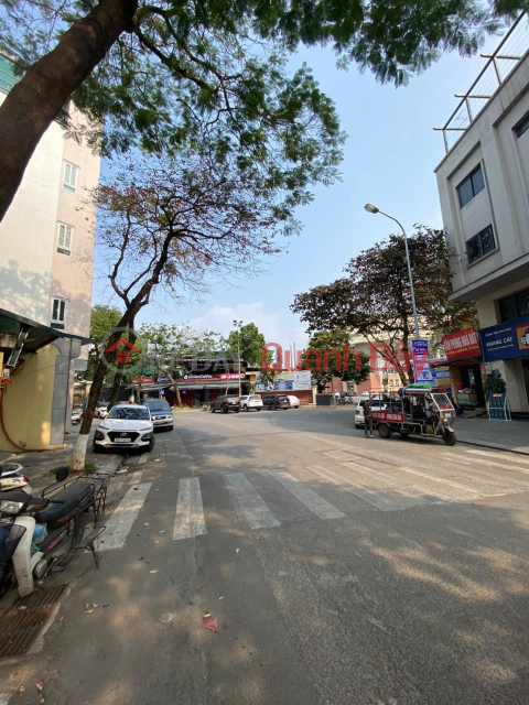 Street front of Ba Dinh district, large area, large MT, top business, 115X3T, good price 24.5 billion. _0