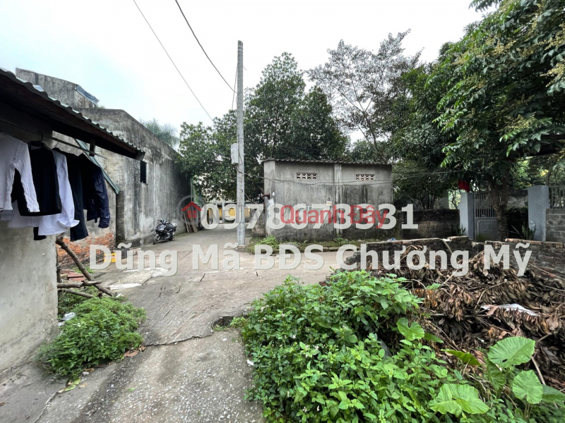 Property Search Vietnam | OneDay | Residential, Sales Listings, PRICE ONLY 2TY1 TO OWN A LOT OF LAND IN BIEN GIANG - HA DONG DISTRICT