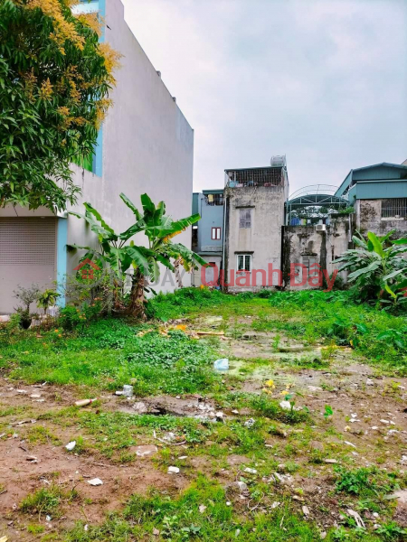 BEAUTIFUL LAND - GOOD PRICE - Urgent Sale Beautiful Land Lot Nam Ngan Ward, Thanh Hoa City, Thanh Hoa Province Sales Listings