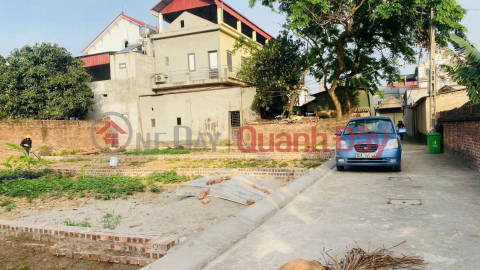 Land for sale in Xuan Le village, Tan Dan, Soc Son. Open road, cars can avoid. Near Hanoi - Lao Cai highway _0