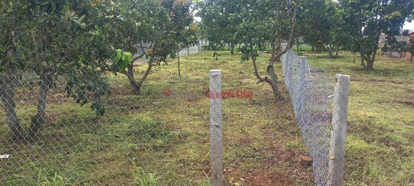 Property Search Vietnam | OneDay | Nhà ở | Niêm yết bán Bán 394m2 đất xã tân hội, đức trọng lâm đồng