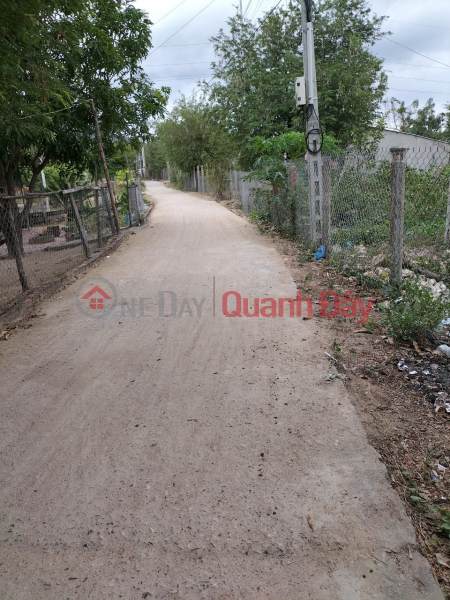 Property Search Vietnam | OneDay | Residential | Sales Listings | BEAUTIFUL LAND - GOOD PRICE - Urgent Sale Land Lot 8600m2 Super Prime Location In My Son, Ninh Son District