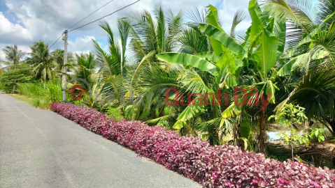 BEAUTIFUL LAND - GOOD PRICE - ORIGINAL NEED TO SELL Plot Land In Long Duc Commune, Tra Vinh City, Tra Vinh _0
