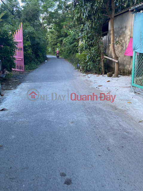 BEAUTIFUL LAND - GOOD PRICE - Quick Sale Land Lot Prime Location In Cau Ngang District - Tra Vinh _0