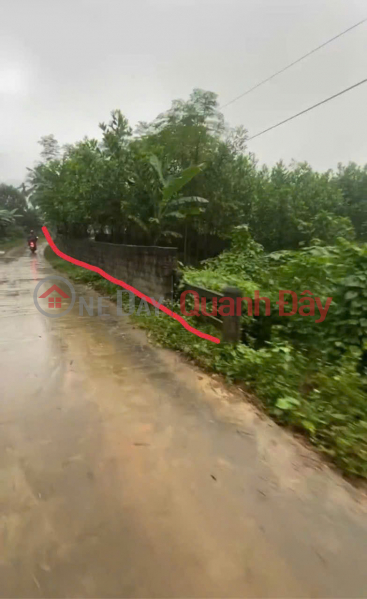 Property Search Vietnam | OneDay | Residential Sales Listings 450m2 of land for sale by owner in Roc Tru I Hamlet, Khoan Du Commune, Lac Thuy District, Hoa Binh Province.