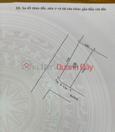 Cơ Hội Đầu Tư & Kinh Doanh Tuyệt Vời - Lô Góc Đắt Giá Tại Quang Minh, Mê Linh _0