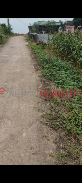 OWNER Needs to Sell Land at Hamlet 5, Dai Son Commune, Do Luong District, Nghe An, Vietnam Sales, đ 340 Million