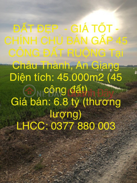 BEAUTIFUL LAND - GOOD PRICE - OWNER SELLS 45 FOLDINGS OF FARM LAND IN CHAU THANH, An Giang Sales Listings