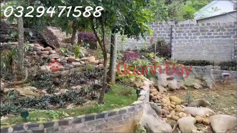 Owner renting out a house with a garden in Lac Luong commune, Phu Tho province, area 450m2 (residential land). _0