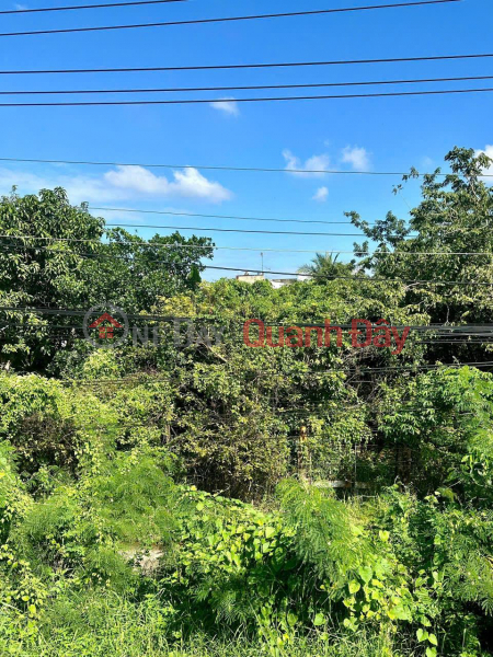 Property Search Vietnam | OneDay | Residential, Sales Listings BEAUTIFUL LAND - PROFITABLE INVESTMENT - OWNER - House and Land for Sale in Tan Hoi Ward, Vinh Long City