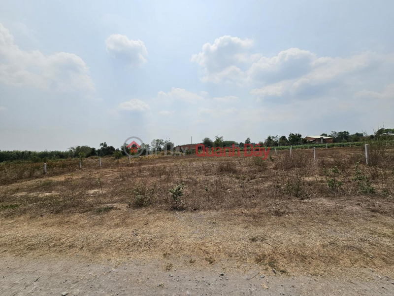 đ 6.2 Billion BEAUTIFUL LAND - PROFITABLE INVESTMENT - For quick sale 3 adjacent lots in Hiep Thanh Commune, Go Dau, Tay Ninh