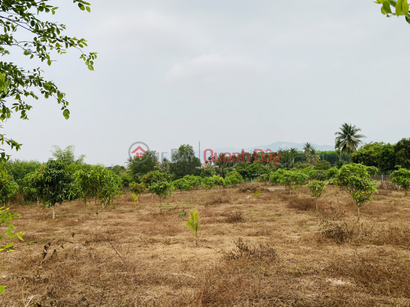 đ 1.25 Billion Suoi Tien - Dien Khanh QH residential land price only from 2 million to 2 million \\/ m2 - Contact 0901 359 868