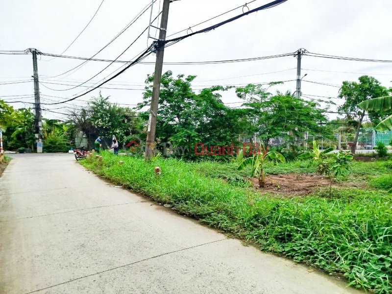 đ 7.5 Billion, Land for sale, 2 frontages, 1000m2, Dinh Van Uoc, Hung Long, Binh Chanh, 7.5 billion