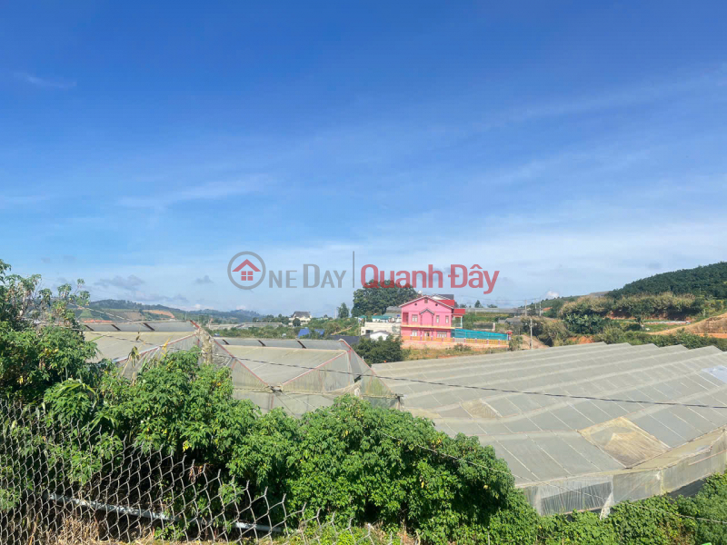 Property Search Vietnam | OneDay | Residential | Sales Listings, BEAUTIFUL LAND - INVESTMENT PRICE - NEED TO SELL A BEAUTIFUL 2-FRONT LAND LOT IN Lac Duong Town, Lac Duong, Lam Dong