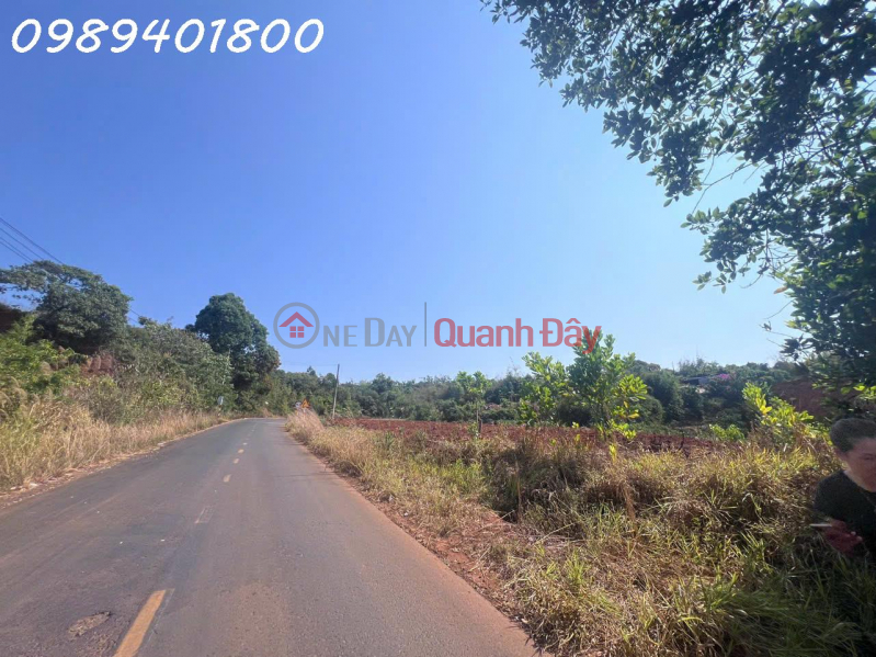 Prime property - Land with frontage on National Highway 28, Quang Khe Town, area 1000m2, investment price. Sales Listings
