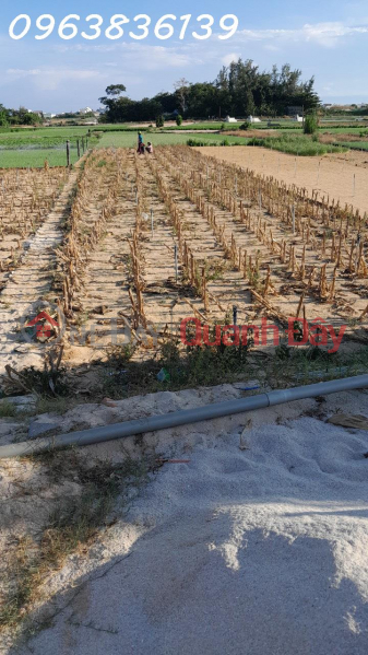Bán thửa đất quy hoạch đất ở. Mặt đường 12m, trục chính đảo Lý Sơn, Quảng Ngãi Niêm yết bán