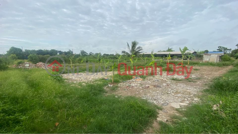 Need to sell quickly Pond Land Plot in Nam Van - Nam Dinh City. _0