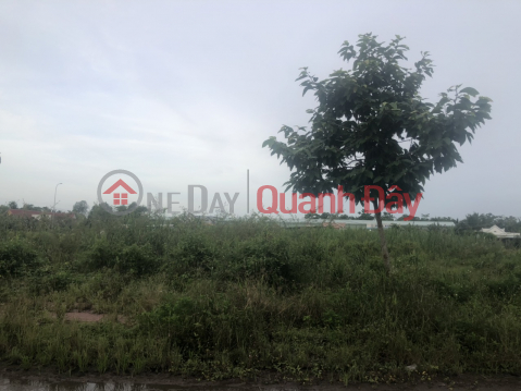 OWNER NEEDS TO SELL LAND LOT URGENTLY IN Phu An, Cai Rang District, City. Can Tho _0