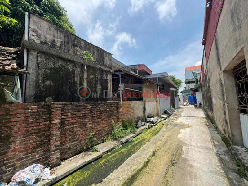 Property Search Vietnam | OneDay | Nhà ở, Niêm yết bán | ĐẤT - GIÁ RẺ- BÁN LÔ ĐẤT Thôn Chuôn Thượng, xã Chuyên Mỹ, huyện Phú Xuyên, thành phố Hà Nội