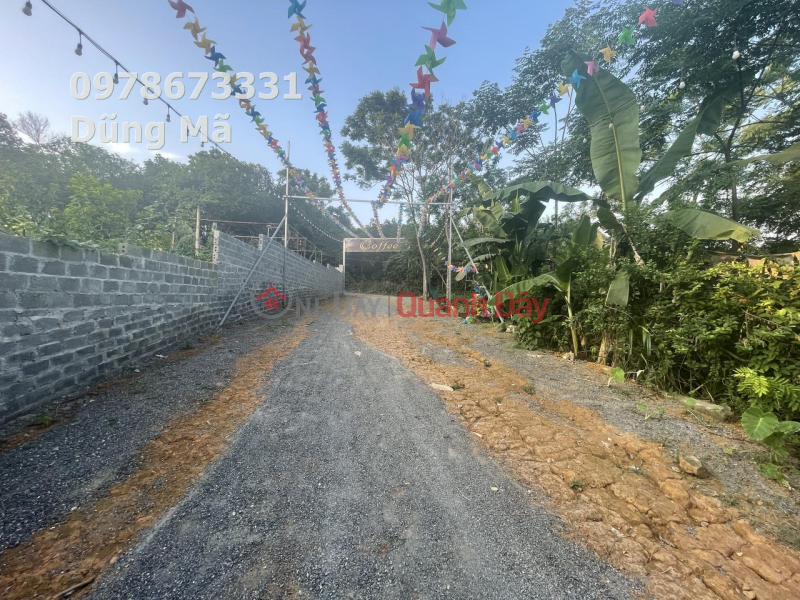 Property Search Vietnam | OneDay | Residential | Sales Listings PRICE ONLY 780 MILLION TO OWN A LOT OF LAND AT HOA SI HILL TIEN PHUONG-CHUONG MY