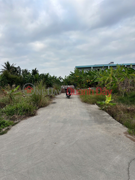 87m² residential land in Quy Kim – Hop Duc – Do Son, over 100m from Highway 353. Rare investment opportunity in a residential area. ZALO 0567 Sales Listings
