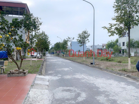Opportunity to own two adjacent plots of land in parallel, prime location in Liem Chinh urban area, Bien Hoa Specialized School _0