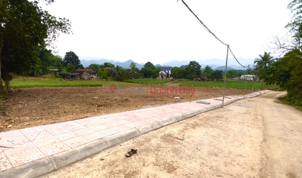 Property Search Vietnam | OneDay | Residential Sales Listings Beautiful Land - Good Price - Owner Needs to Sell Land Lot in Beautiful Location in Thach Quang Thach Thanh Commune - Thanh Hoa.