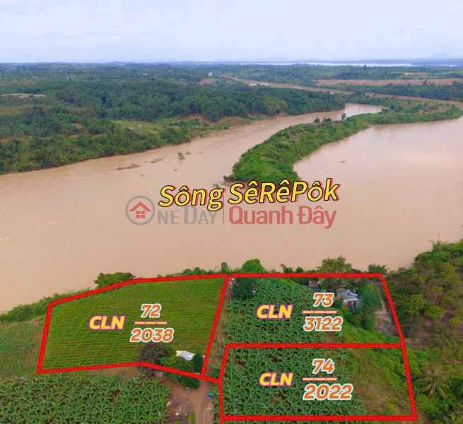 Owner emigrating needs to sell quickly: 7,000m2 land for 1.2 billion VND - bordering the Srêpốk River, Buôn Ma Thuột, Đắk Lắk province. Sales Listings