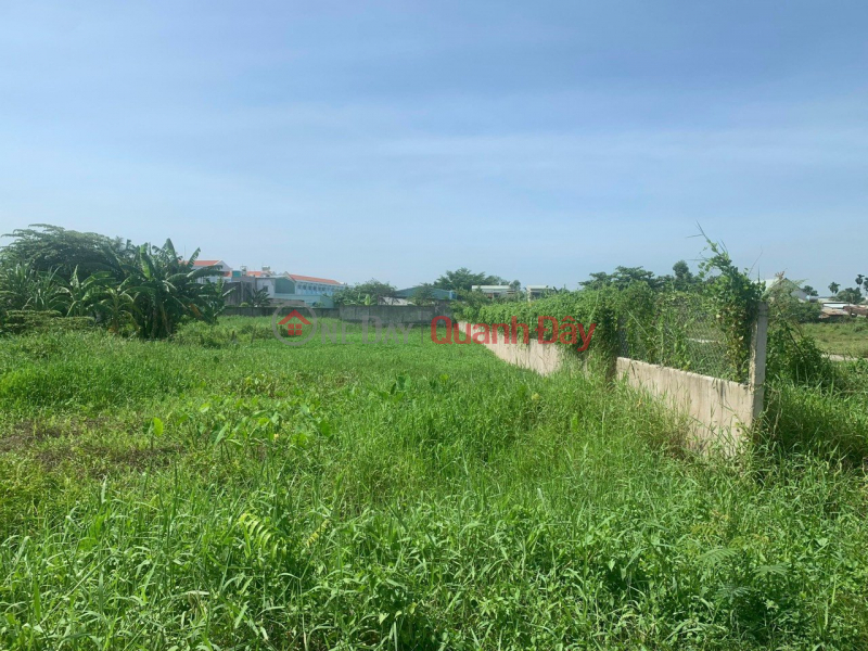 Property Search Vietnam | OneDay | Residential Sales Listings The owner needs to quickly sell a beautiful piece of land in Tan Hiep commune, Hoc Mon district