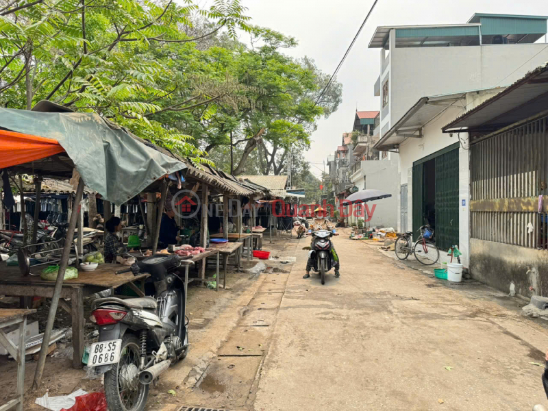 Land for sale in the center of Chi Dong town, Me Linh, Hanoi. Market frontage, beautiful business frontage. | Vietnam | Sales đ 6.35 Billion