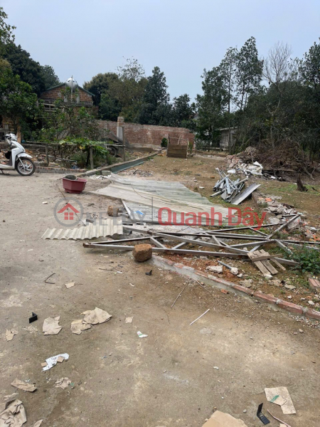 Property Search Vietnam | OneDay | Residential Sales Listings BEAUTIFUL LAND - PROFITABLE INVESTMENT - Urgent Land Sale in Thach That District, Hanoi City
