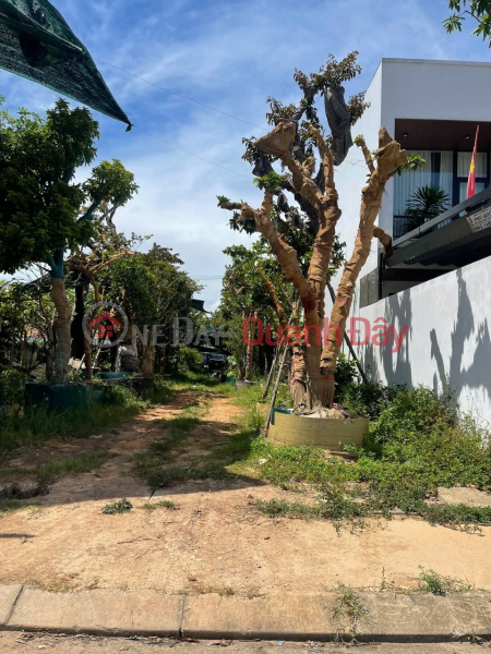 HOT HOT – OWNER NEEDS TO SELL LAND PLOT IN BAC NGHIA WARD, DONG HOI CITY, QUANG BINH PROVINCE Sales Listings
