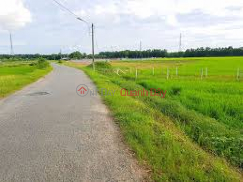 Urgent sale of land plot at 1 set of Phu Thuan street, Phu My Hung commune, Cu Chi district, Ho Chi Minh City Sales Listings