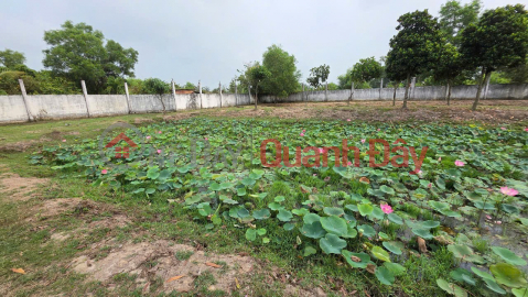 BEAUTIFUL LAND LOT - INVESTMENT IS PROFITABLE - Land for Sale in Duc Lap Ha Commune, Duc Hoa, Long An _0