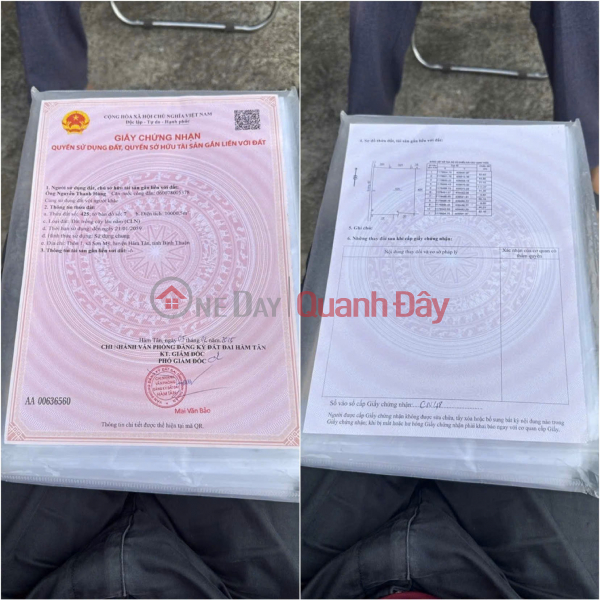 OWNER NEEDS TO SELL Land in Son My, Ham Tan, Binh Thuan. Vietnam Sales | đ 20 Billion