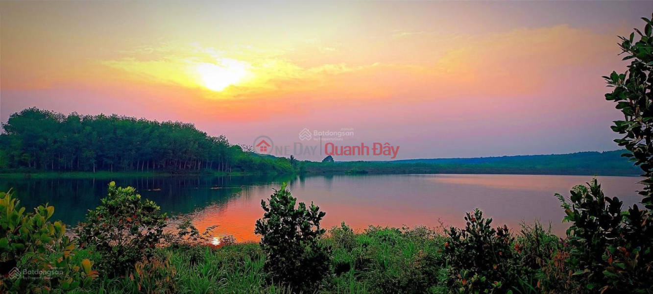 Property Search Vietnam | OneDay | Nhà ở Niêm yết bán, Chính chủ bán đất 2300m2 mặt hồ NT4.