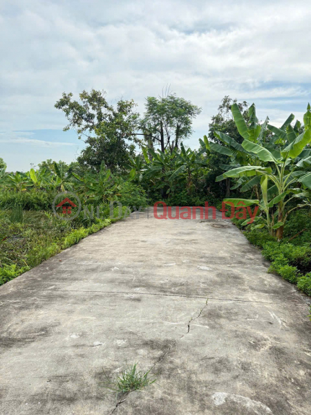 Property Search Vietnam | OneDay | Nhà ở, Niêm yết bán, LÔ 61.6M² – NGÕ 4M Ô TÔ TẢI QUAY ĐẦU – GIÁ HIẾM 9XX TRIỆU ZALO 0567 222 555