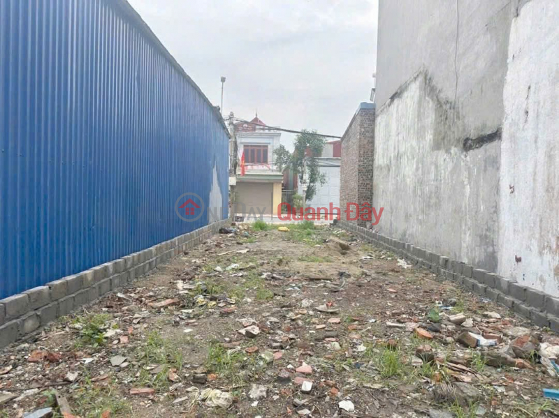 Road 361 - Lang Con, Kien Thuy, near Vinhomes, 113.8m² only 3.8xx billion - ZALO 0567 222 555 Sales Listings