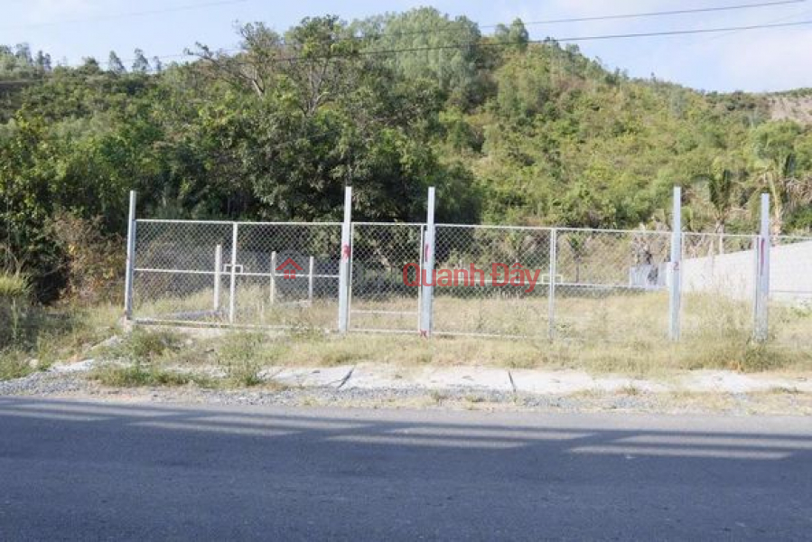 RESIDENTIAL LAND FOR SALE, FRONTAGE ON PROVINCIAL ROAD 3, CAM LAM - SUITABLE FOR WAREHOUSE CONSTRUCTION - SELLING PRICE 2.950 BILLION! Sales Listings