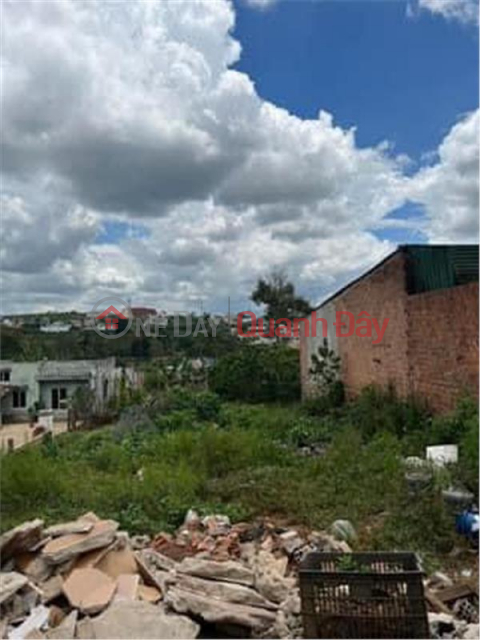 BEAUTIFUL LAND - GOOD PRICE - For Quick Sale Land Lot Prime Location In Di Linh, Lam Dong _0